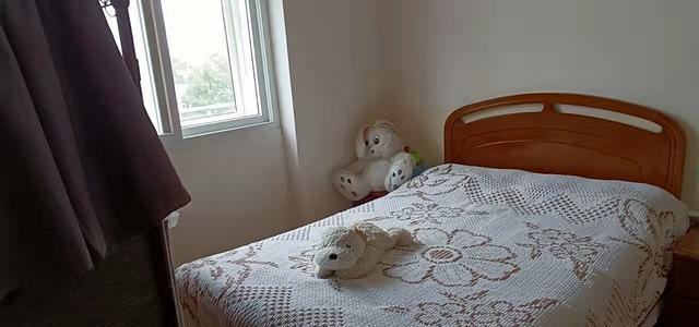 嘉禾路(糖球会)套三明厅精装 南北 拎包住2100元 初次租 嘉禾路(糖球会)套三明厅精装 南北 拎包住2100元 初次租