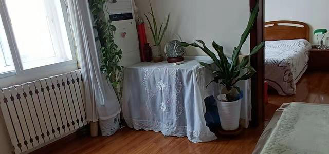 嘉禾路(糖球会)套三明厅精装 南北 拎包住2100元 初次租 嘉禾路(糖球会)套三明厅精装 南北 拎包住2100元 初次租